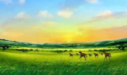 草原视频,广袤无垠的自然画卷